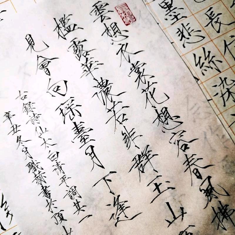秋至金花间