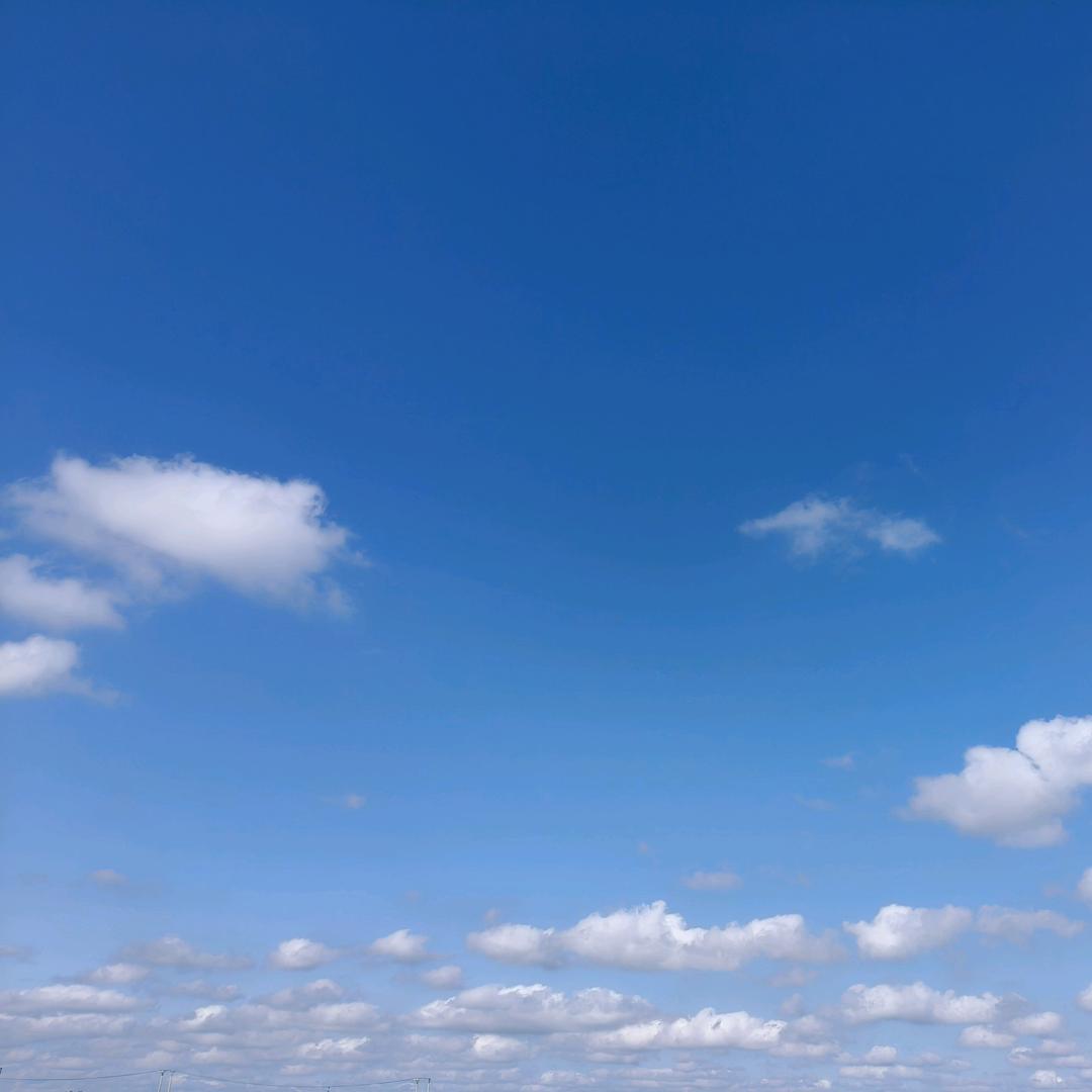 心存の思念
