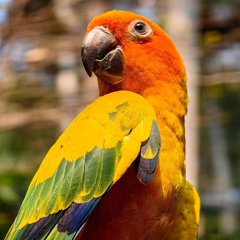 顺达数码先锋队（庆元小分队）