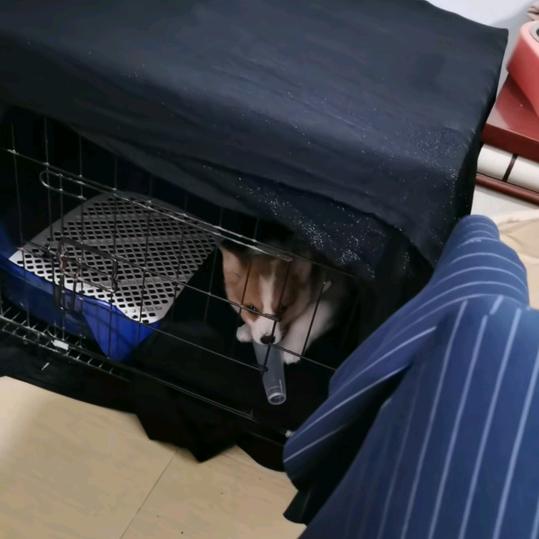 学会放过自己