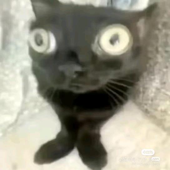 闪亮大脚趾