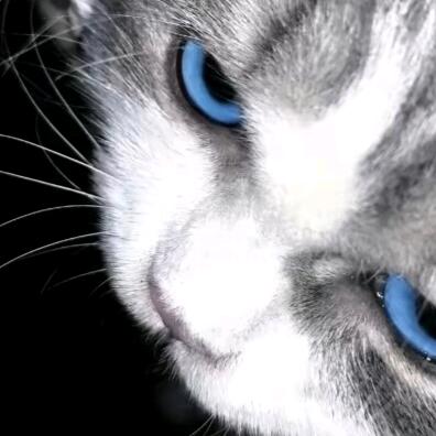 👹（无畏契约）