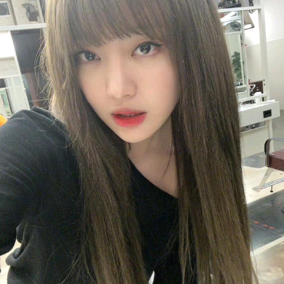 猫猫（抽抽乐版