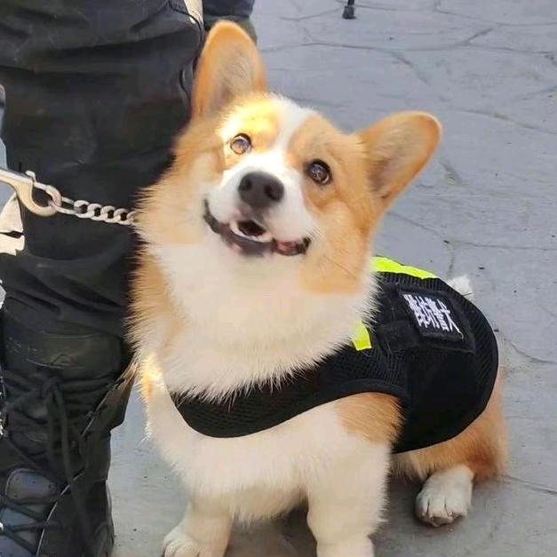 啦啦啦_☀️