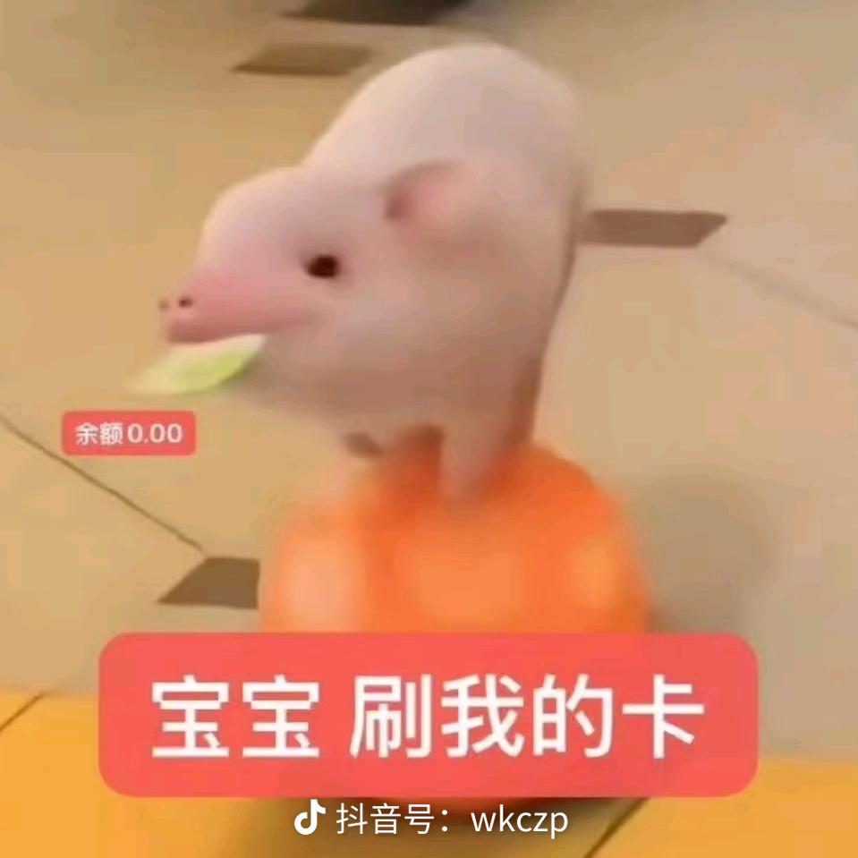 刷我滴卡~