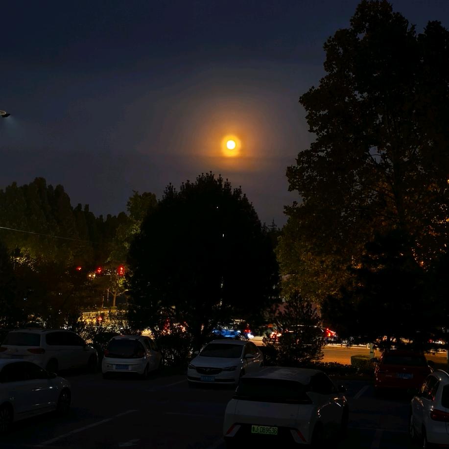 𝐿𝓲𝓾 𝐶𝒽𝑒𝓃𝑔