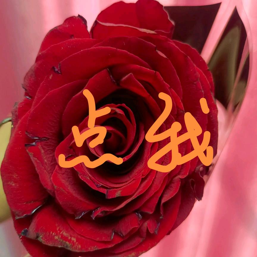 伊泽烟酒超市好好思 直播号