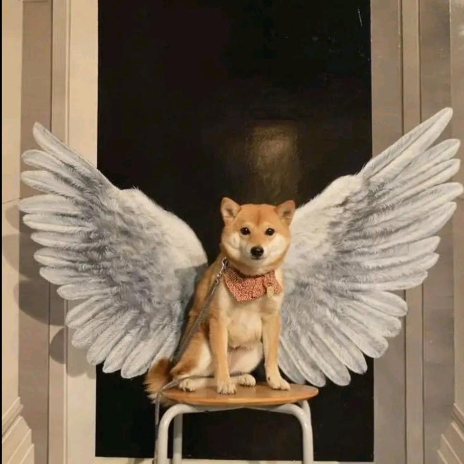 321