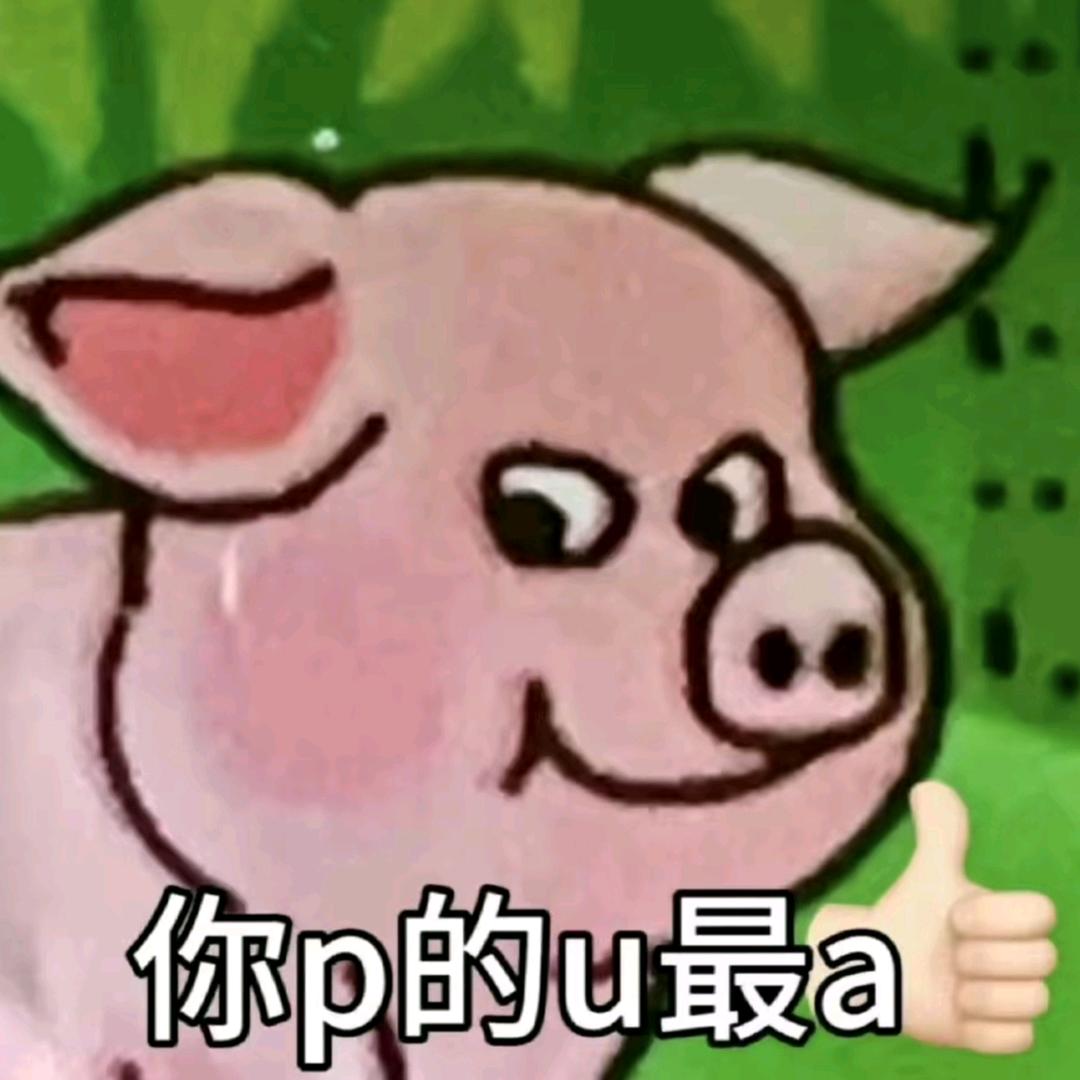 弱小无助且大只的极品蟑螂哥