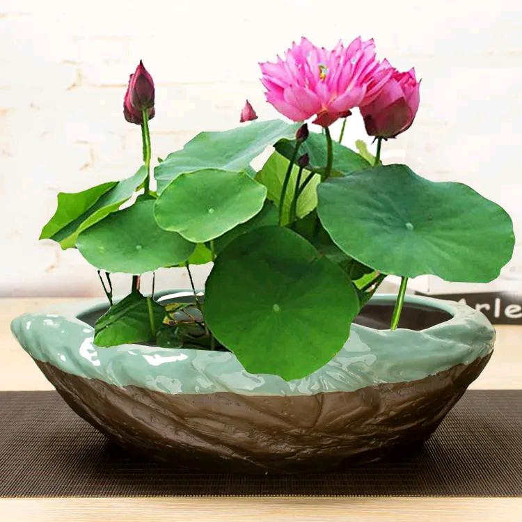 平平淡淡