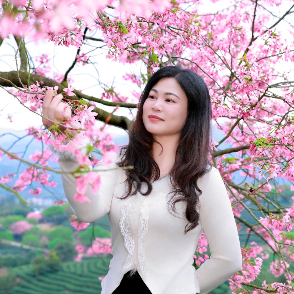 梅梅