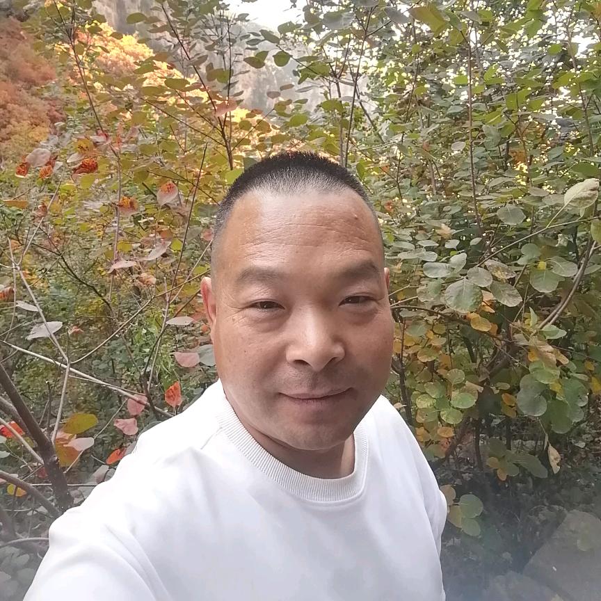 兴龙煤炭销售