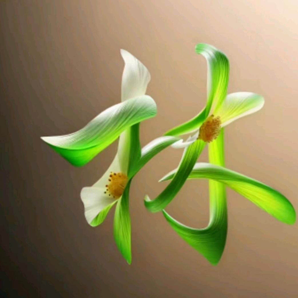 林*