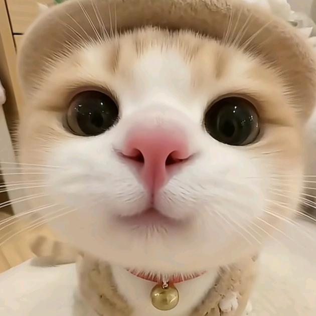 ℳঞᩚ✨悦己꧔ꦿ᭄🍀