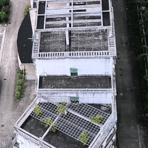 时代之光
