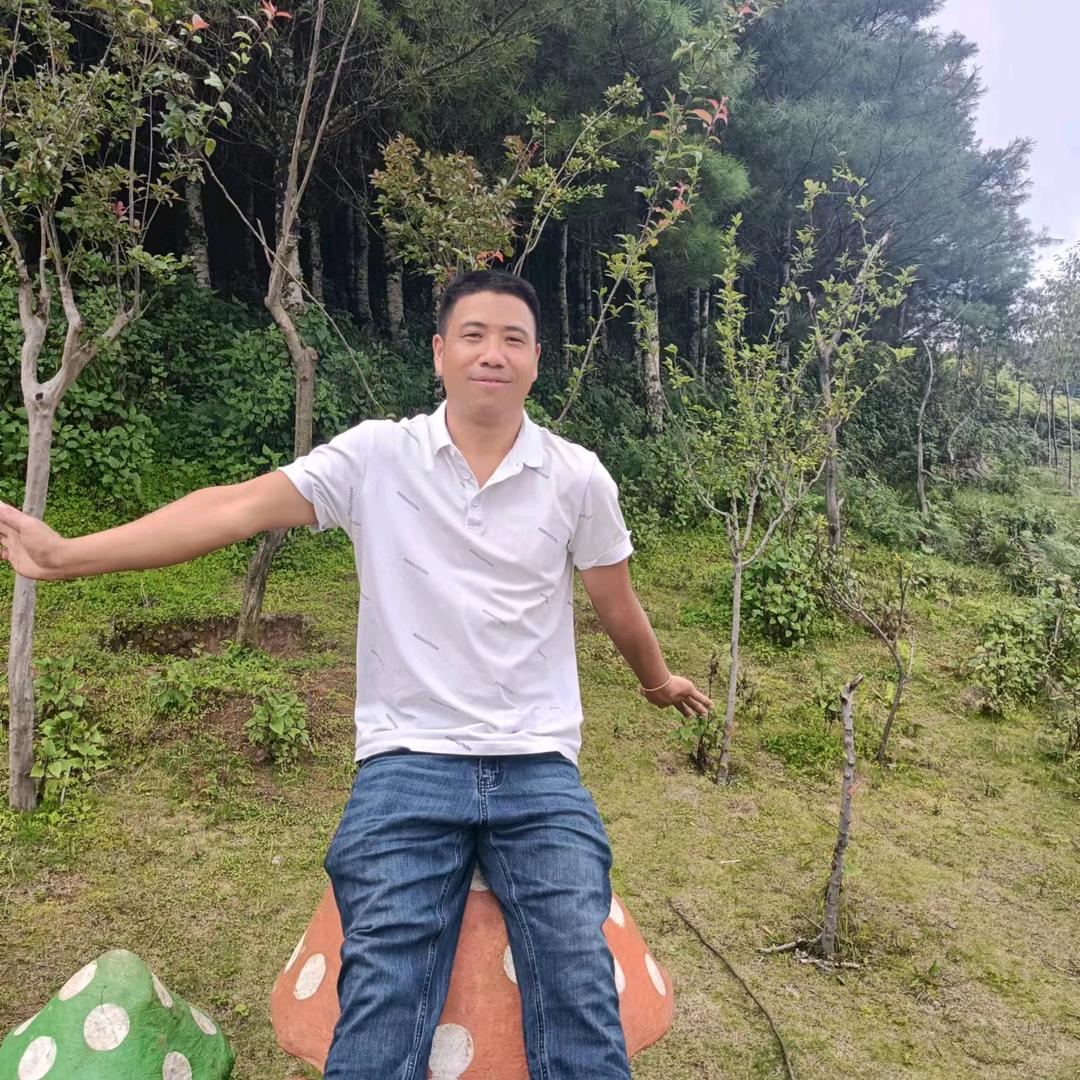 临沧阿德哥