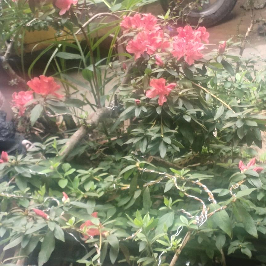 指尖的余温