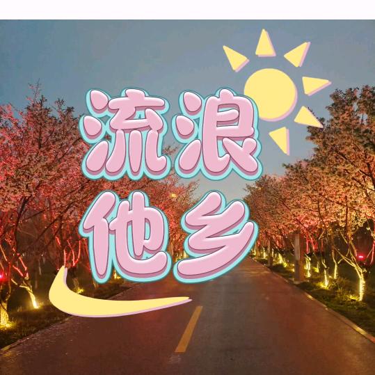 流浪他乡