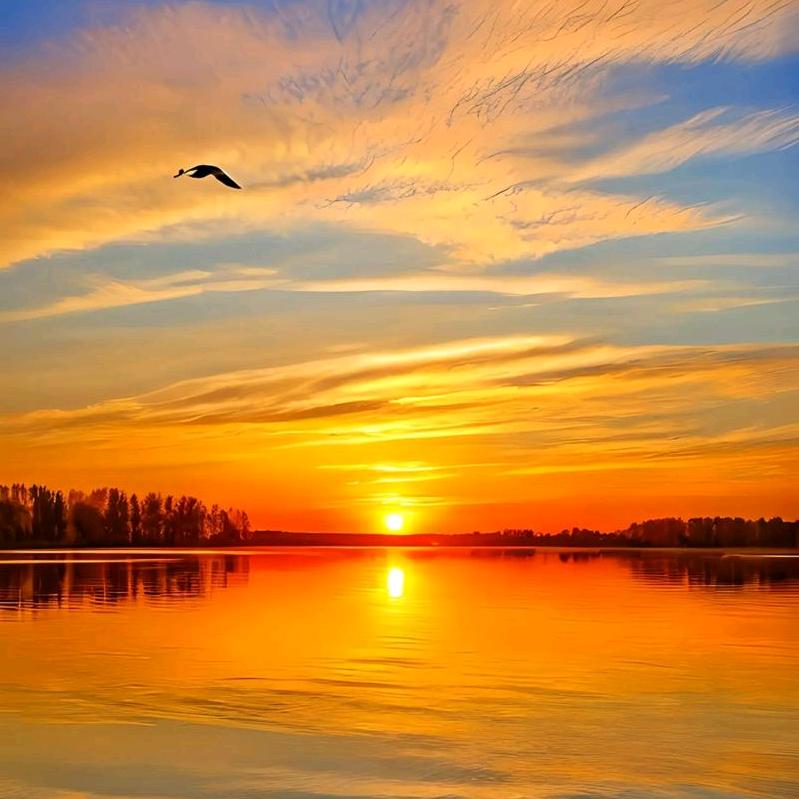 文文老师文史课堂