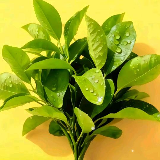 90后夫妻送货日常