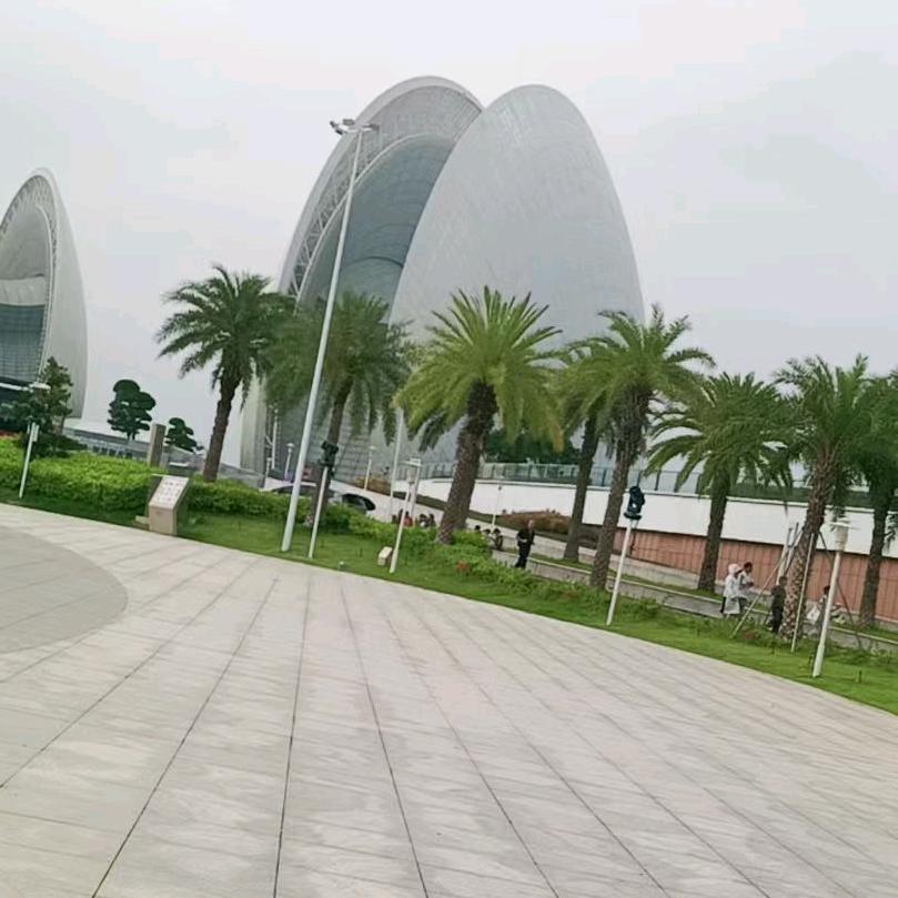 繁星遇海🌼🧸🌺