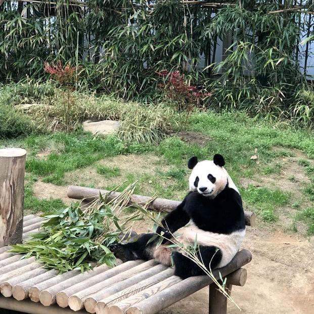 送雨伞的人是你吗？