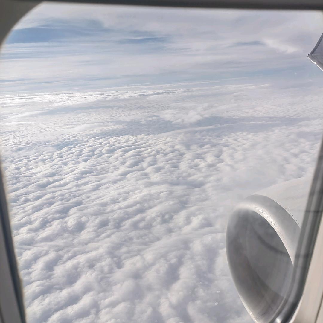 叁帅小健家教咨询