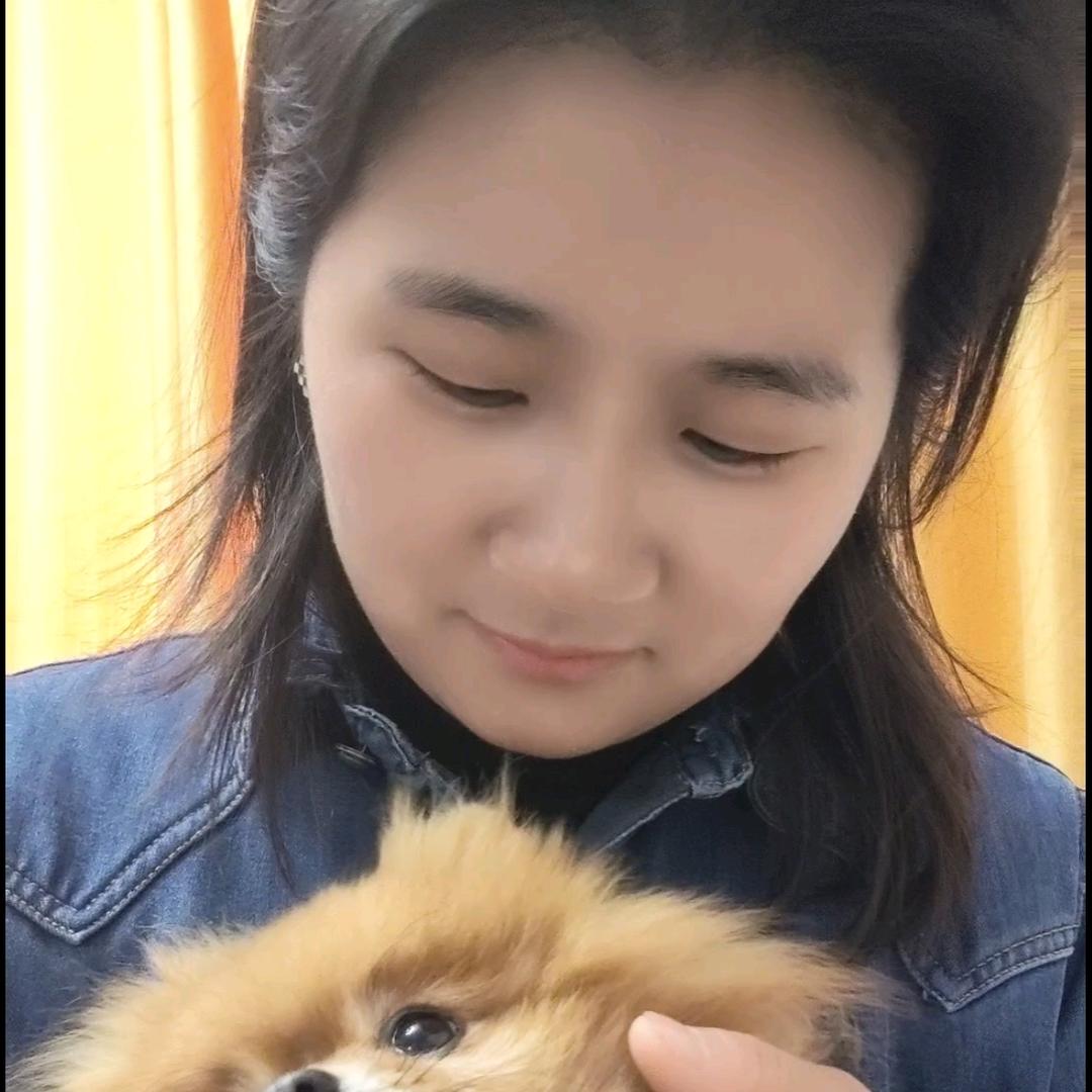 养狗旺财华姐