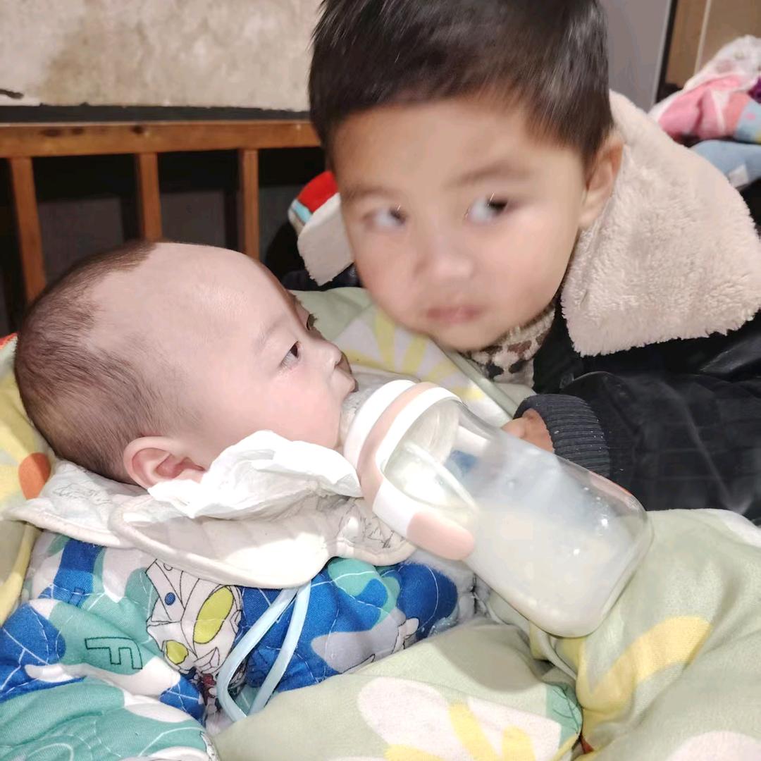 主元菊苦中快乐