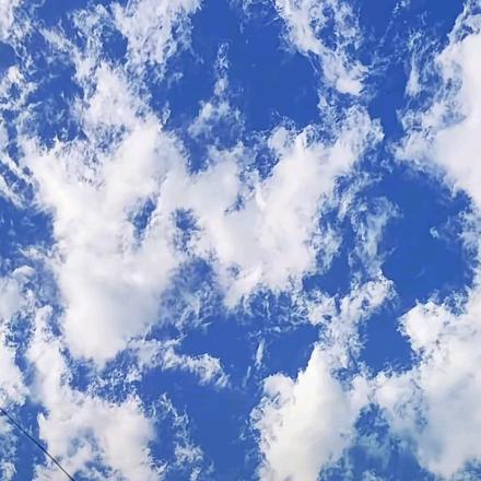 缘份让我认识你