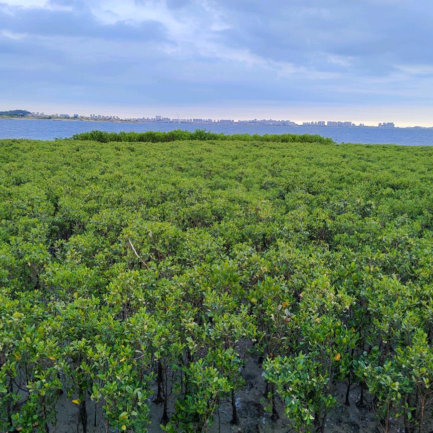 老张百货零售店