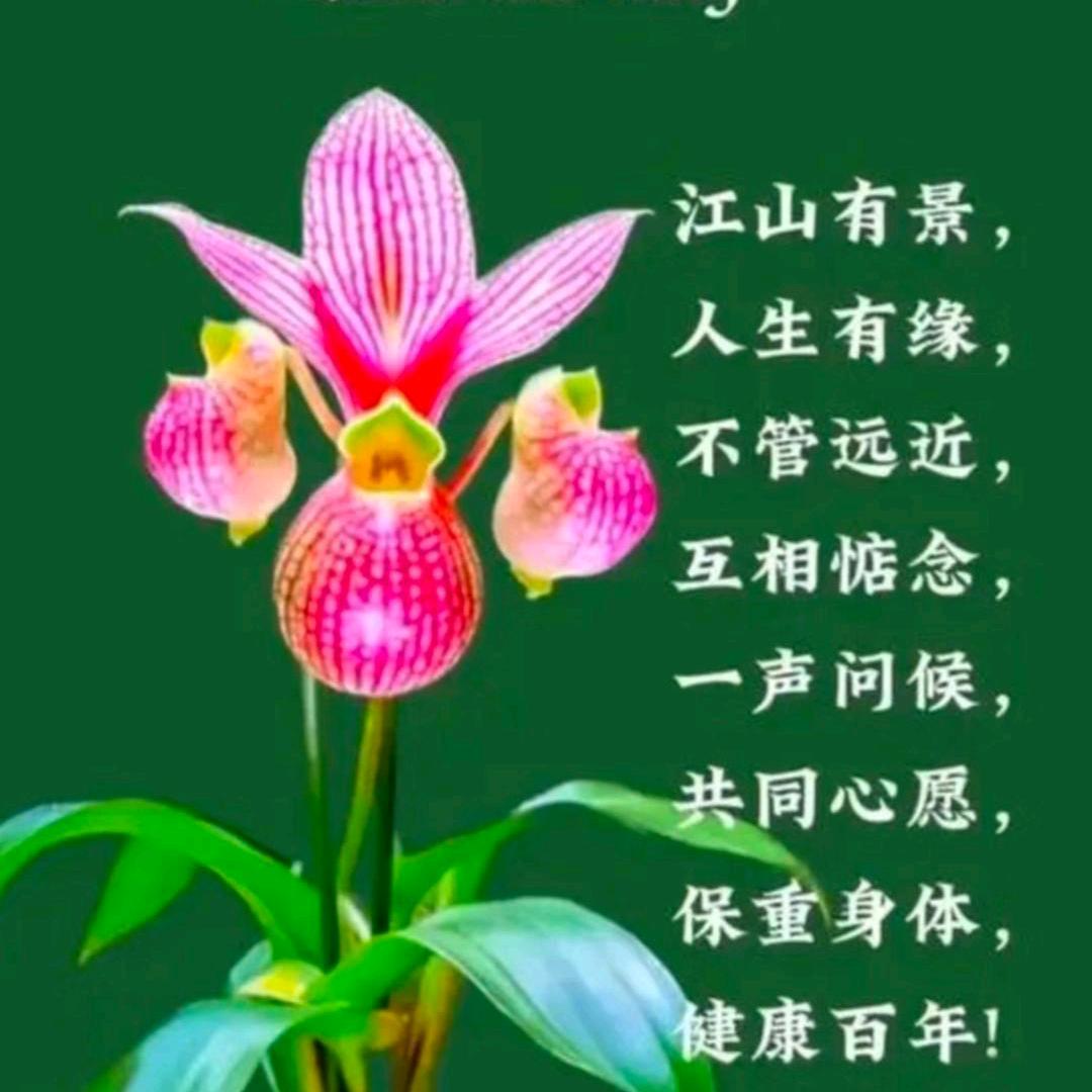 生命过客