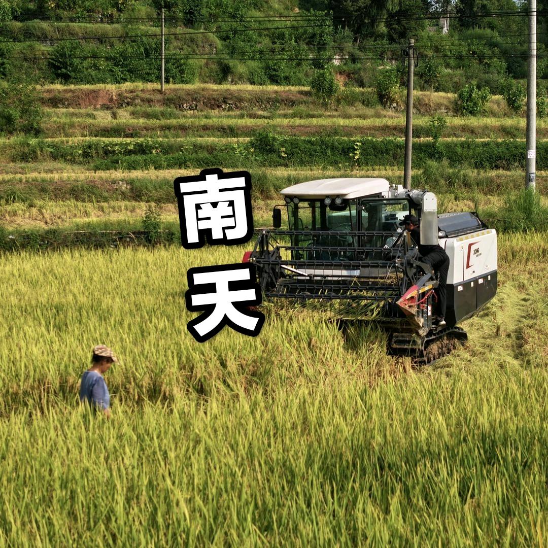 南天故里人