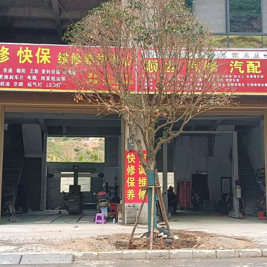 东兰县顺达皮卡   四轮定位