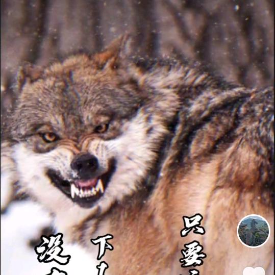 顺理成张