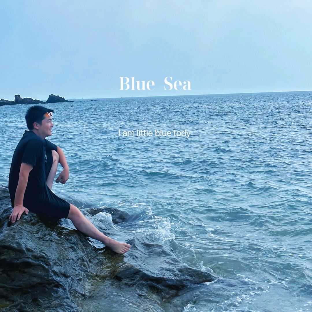 沈阳市沈北新区猫咪宠物寄养店（个体工商户）