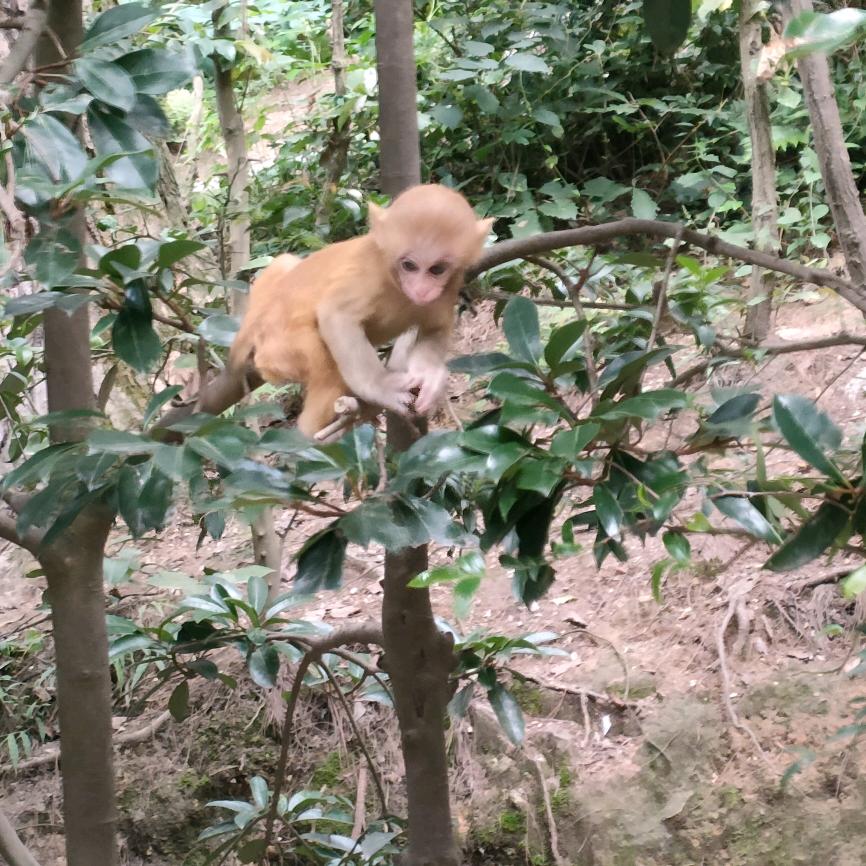 风中盛开一抹风xx