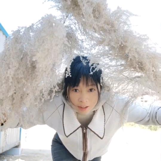 傻冒妹