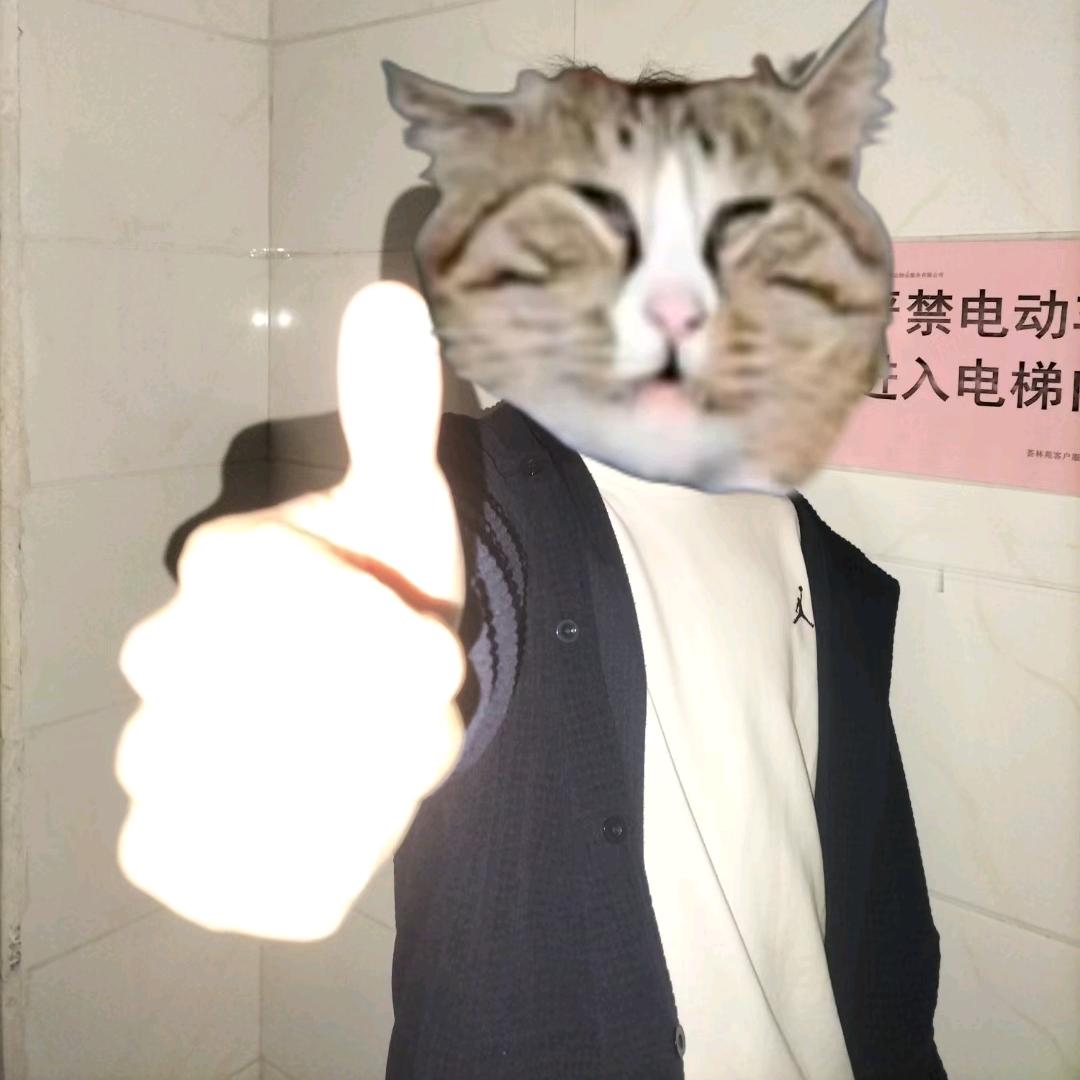 体贴的摩托车