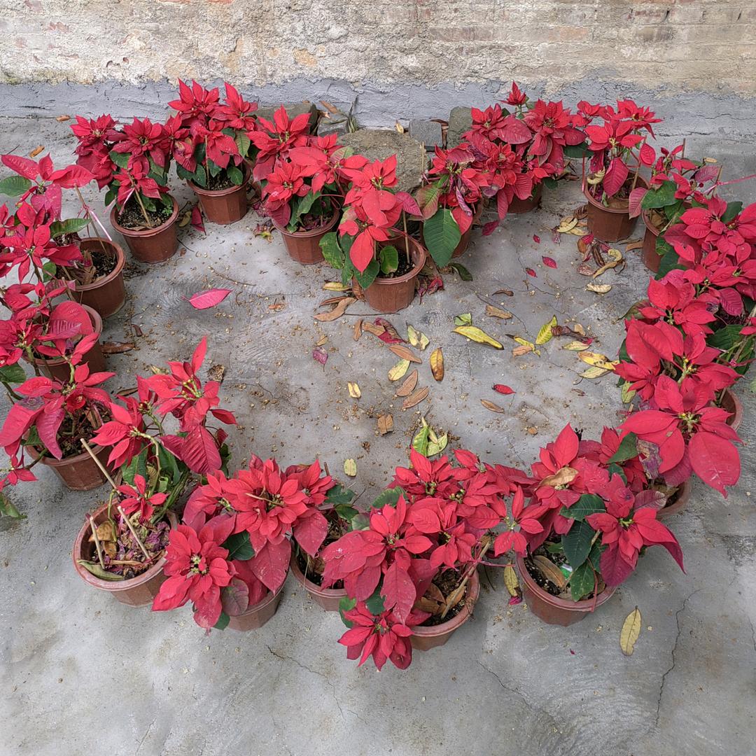 请叫我郭大小姐