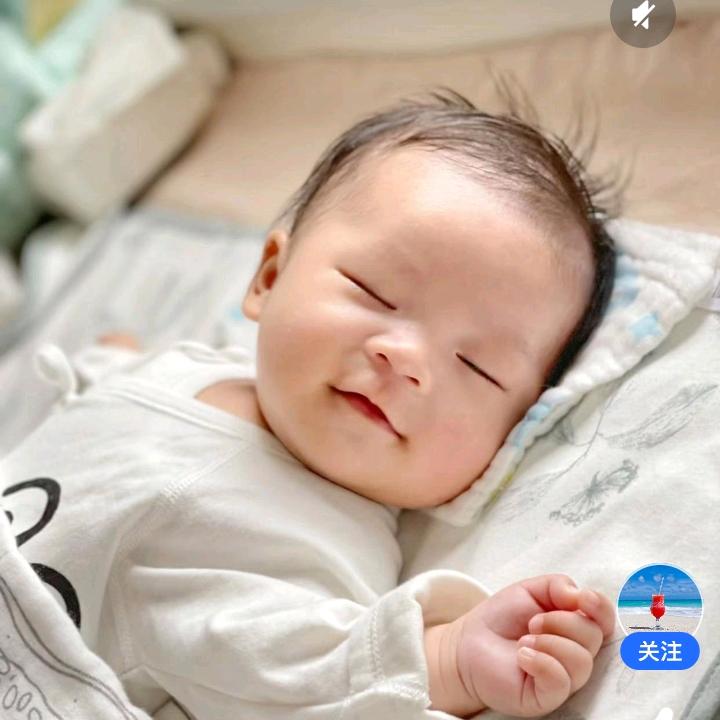 枫枫