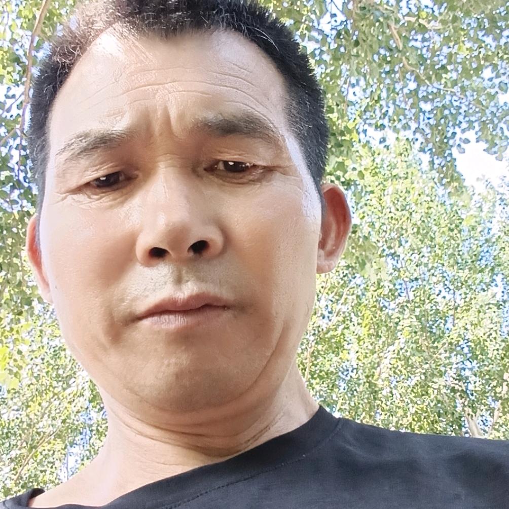 刘善金
