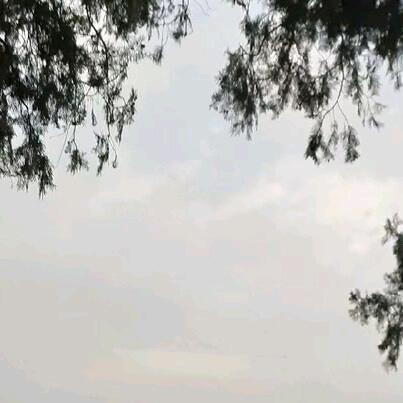 无剪梅，莱芜人