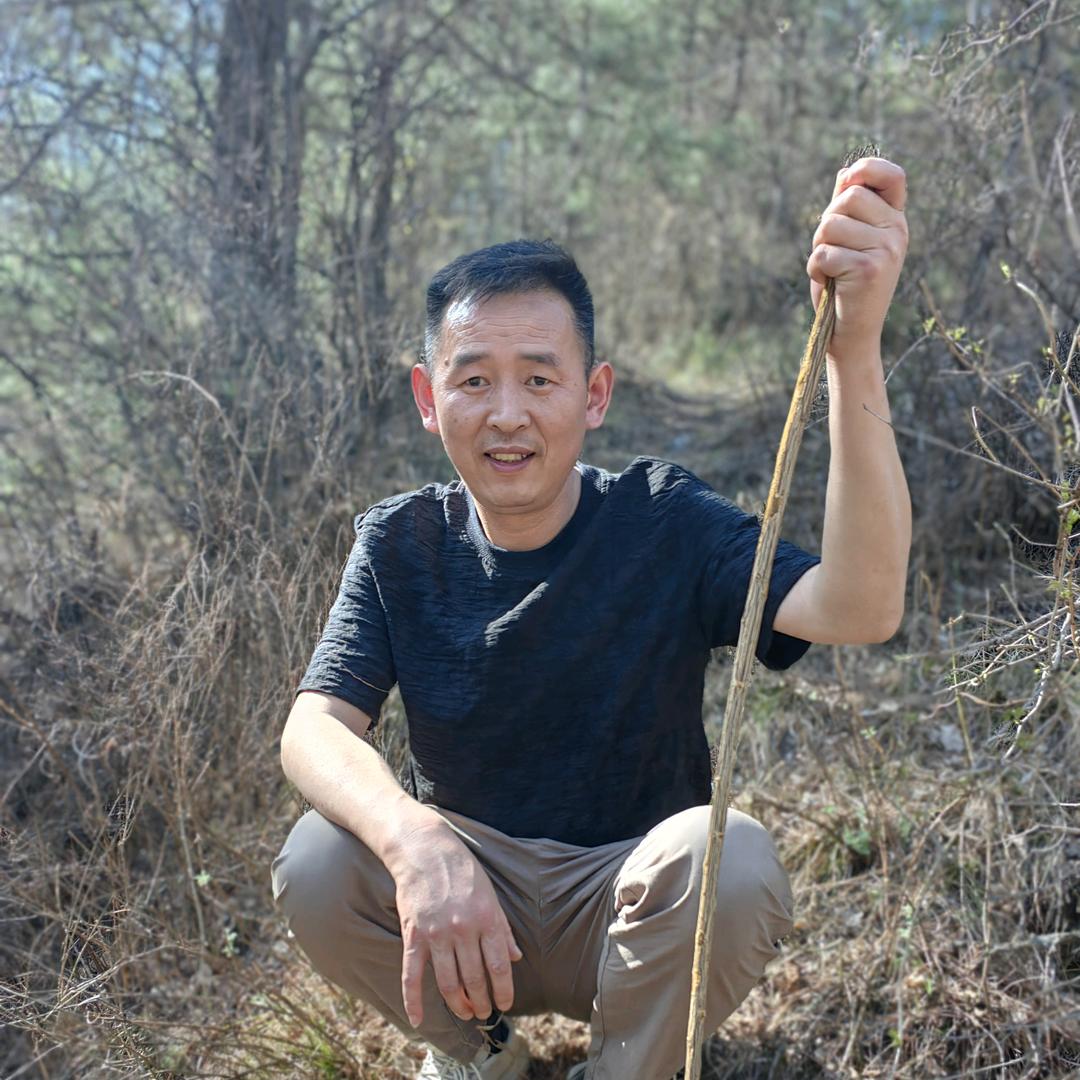 洛南华阳新城饺子王