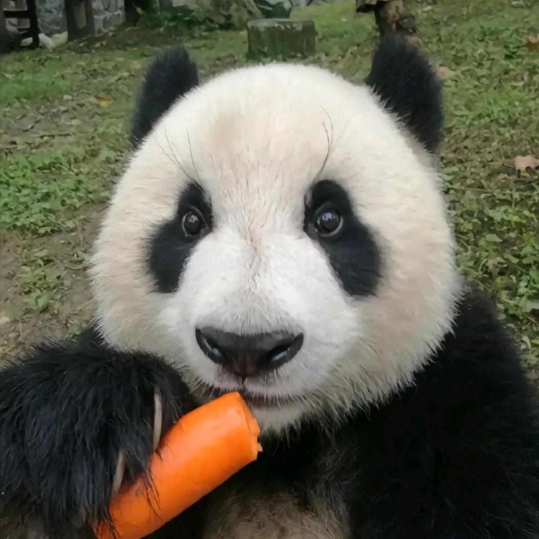 沐阳🌾