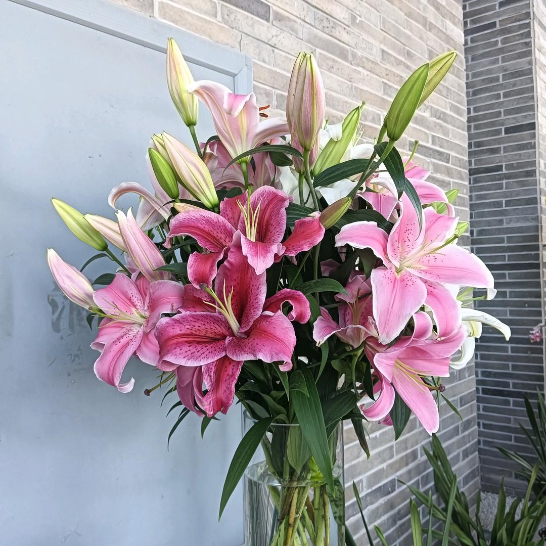 ℳ༡🍒琴꧔ꦿ᭄࿐ᩚ