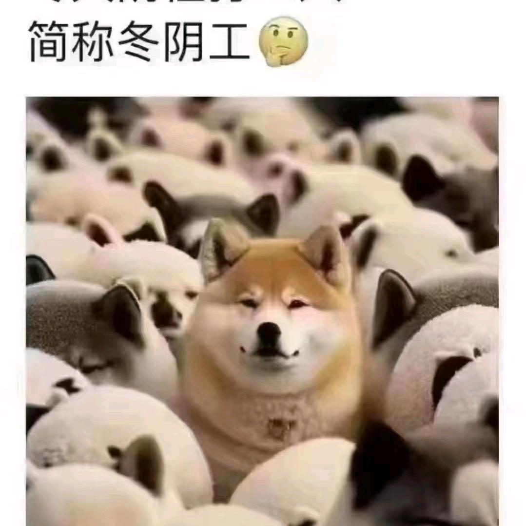 云中鹤