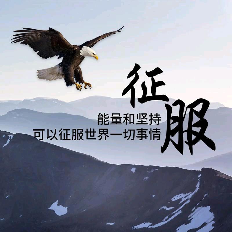 放飞的梦