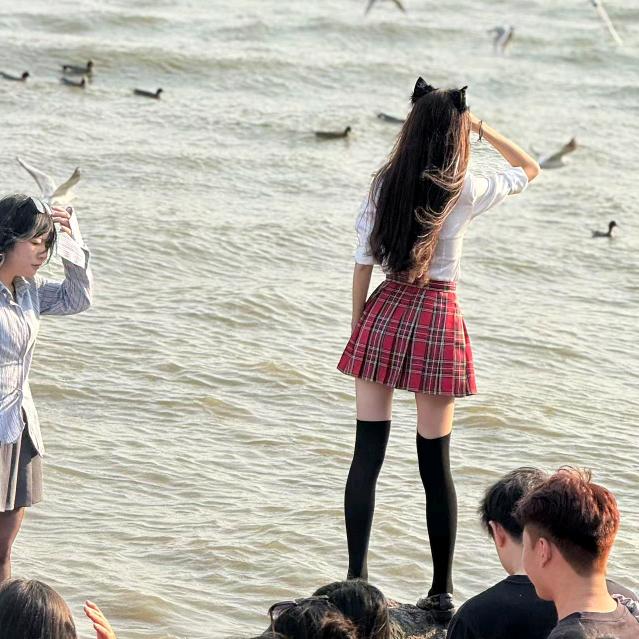 北极熊