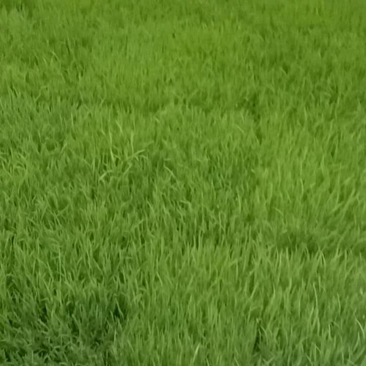 是阳阳呀✨